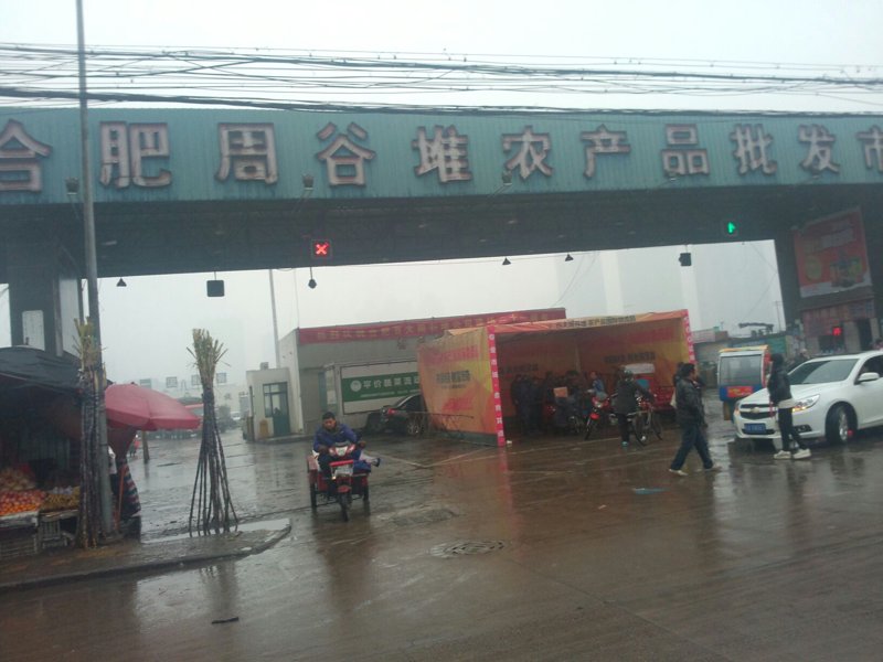 商贸行业中的合肥：城市商业活力的展示窗口